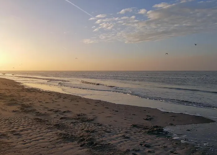 Appartement Gezellige In Residentie Maison Blanche Op 50m Het *
